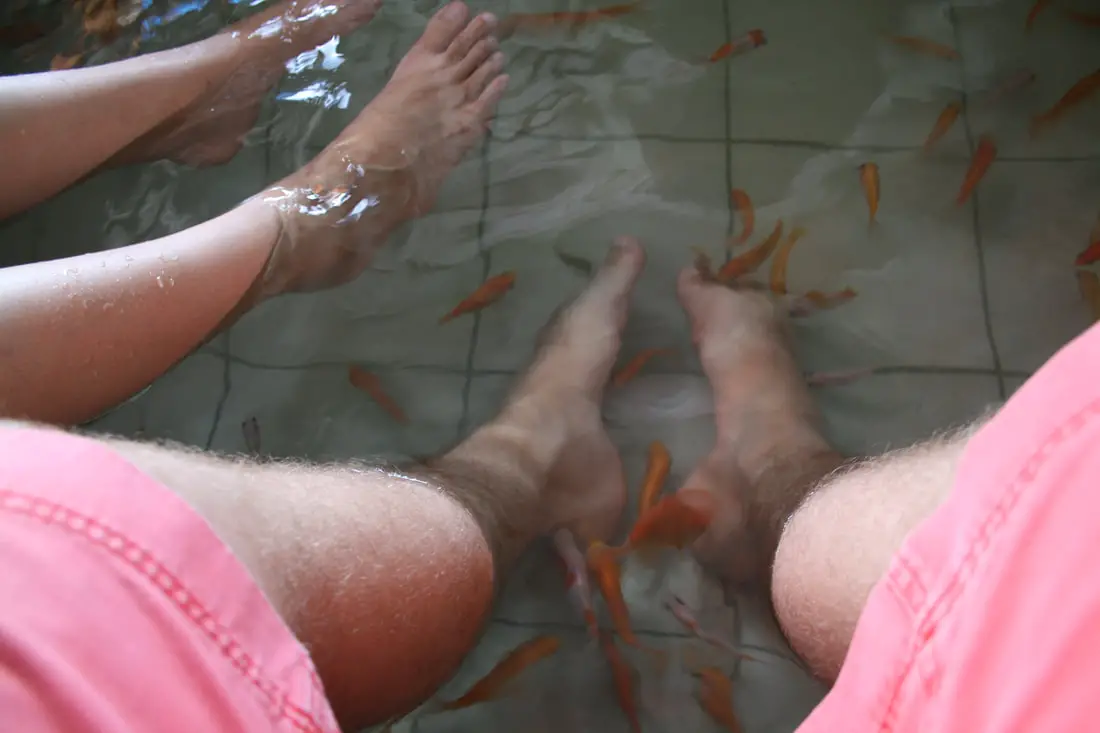 Dr Fish Foot Spa, Jiaoxi Taiwan - Pedicure via Garra Rufa - Belly Rumbles